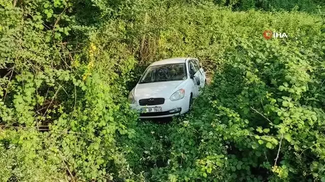 TEM'de kontrolden çıkan otomobil ağaçlık alana uçtu: 3 yaralı