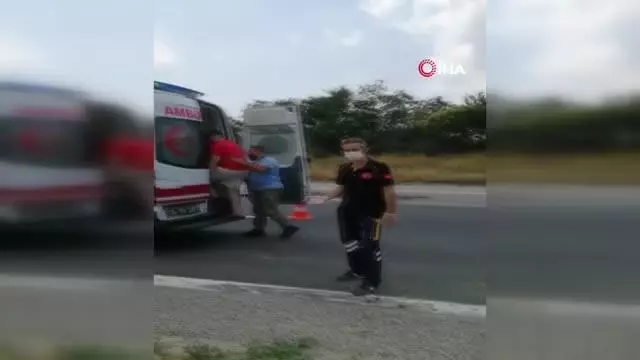 TEM Otoyolunda can pazarı TEM Otoyolunda can pazarı