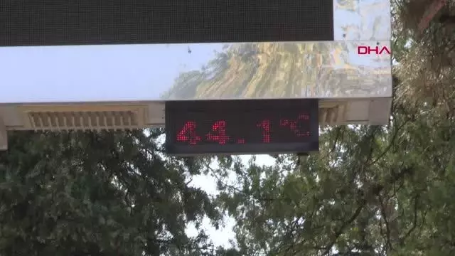 TERMOMETRELER 44 DERECEYİ GÖSTERDİ, FENALAŞAN BOĞA SUYLA SERİNLETİLDİ