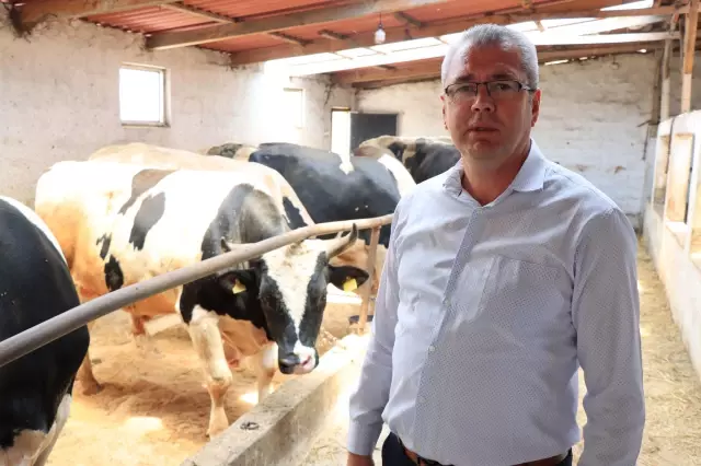 KIRKLARELİ - Trakya'nın kurbanlıklarına İstanbul ilgisi