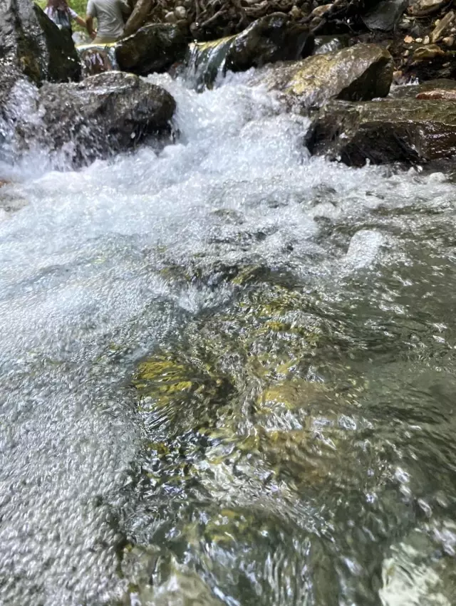 Vali Şıldak, Şahinderesi'nin turizm alanında cazip bir lokasyona sahip olduğunu söyledi