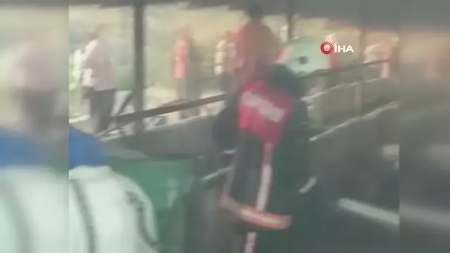 Yangında 13 büyükbaş hayvan telef oldu