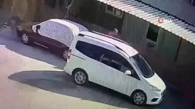 Yaşlı adamın kurbanlıklarını böyle çaldı