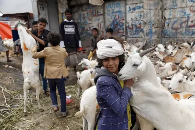 Yemen'de kurbanlık fiyatının yüksek oluşu bayram sevincine gölge düşürüyor