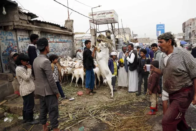 Yemen'de kurbanlık fiyatının yüksek oluşu bayram sevincine gölge düşürüyor
