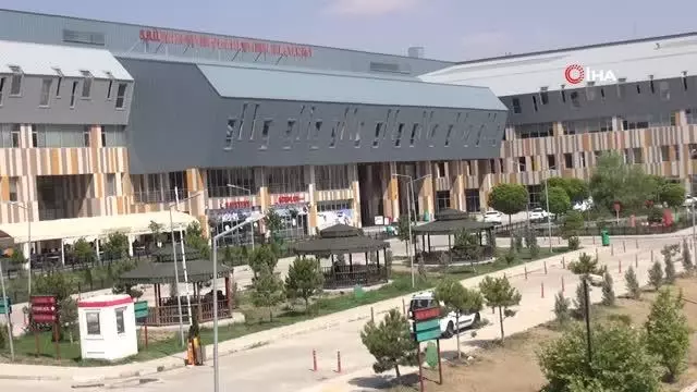 Acemi kasaplar hastanelik oldu