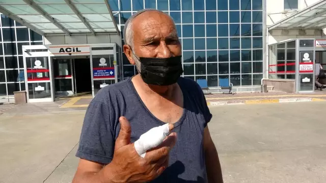 Acemi kasaplar hastanelik oldu