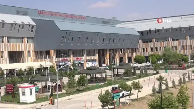 Acemi kasaplar hastanelik oldu