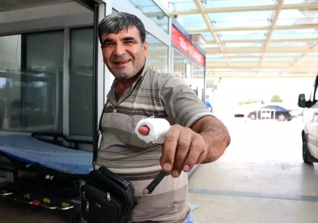 Son Dakika | Acemi kasaplar hastanelik oldu