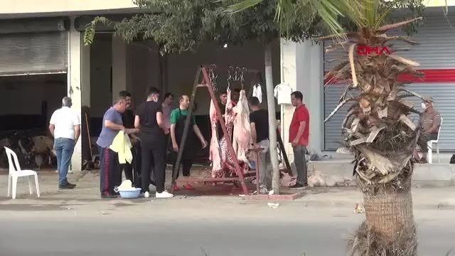 Kurbanlıklarını sokaklarda kestiler
