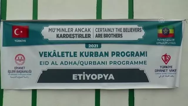 ADDİS ABABA - Türkiye Diyanet Vakfı, Etiyopya'da kurban bağışında bulundu