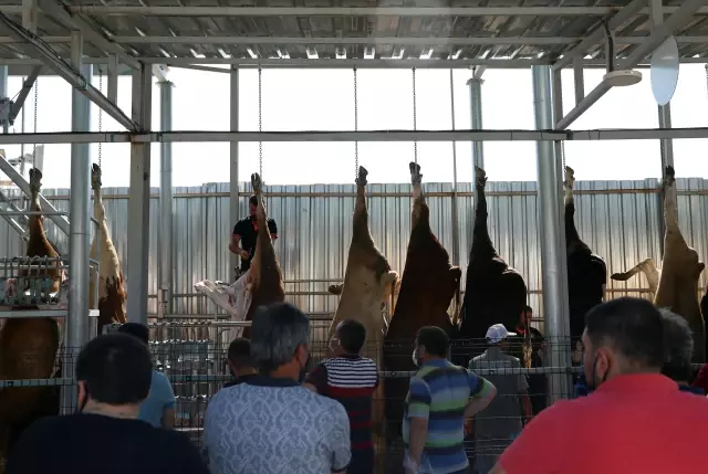 Kurban pazarlarında ve kesimhanelerde hareketlilik yaşanıyor