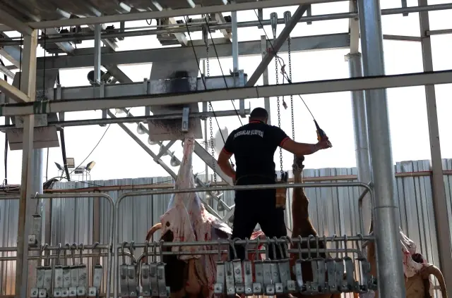 Kurban pazarlarında ve kesimhanelerde hareketlilik yaşanıyor