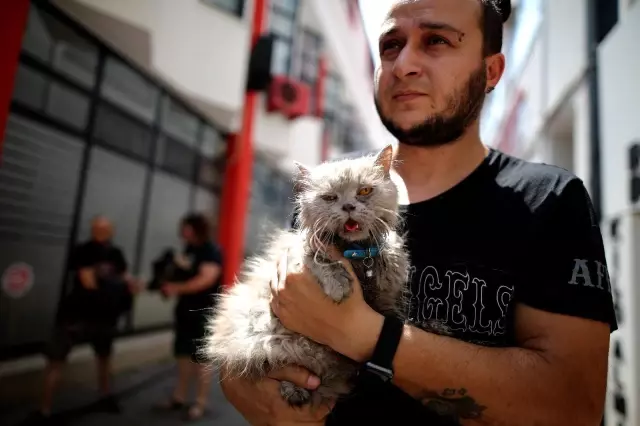 Anne ve 3 yavru kedi yangından böyle kurtarıldı Anne ve 3 yavru kedi yangından böyle kurtarıldı