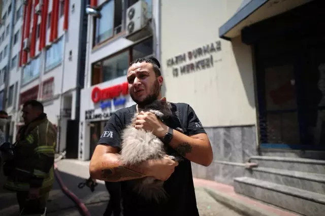 Anne ve 3 yavru kedi yangından böyle kurtarıldı