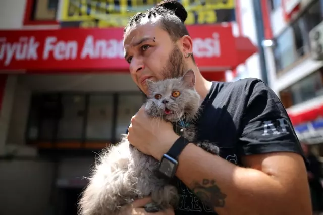 Anne ve 3 yavru kedi yangından böyle kurtarıldı