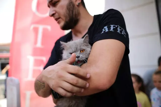 Anne ve 3 yavru kedi yangından böyle kurtarıldı