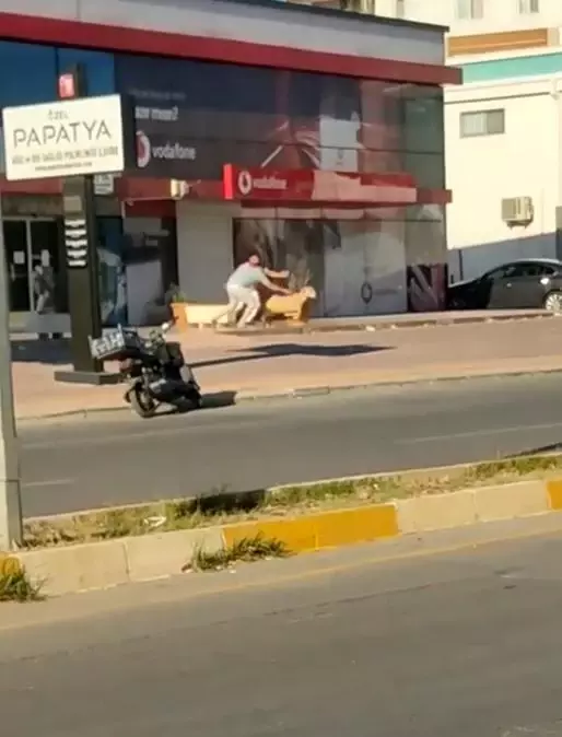 Antalya'da firari dana araç trafiğinde ilerledi