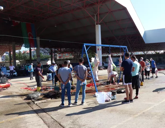 Antalya, Muğla, Isparta ve Burdur'da kesimhanelerde hareketlilik yaşanıyor Antalya, Muğla, Isparta ve Burdur'da kesimhanelerde hareketlilik yaşanıyor