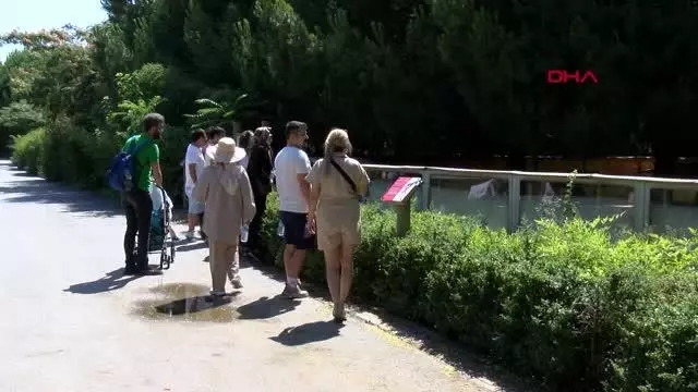 İzmir'in doğal yaşam parkında bayram yoğunluğu