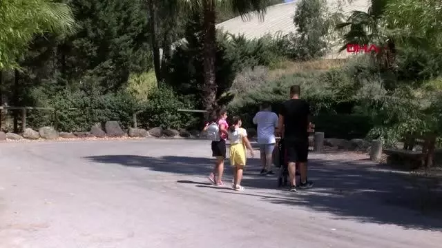 İzmir'in doğal yaşam parkında bayram yoğunluğu