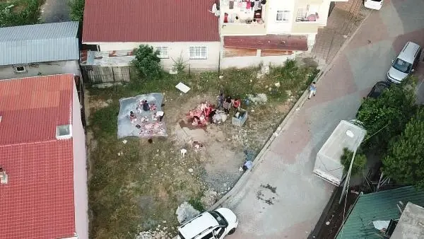 BEYOĞLU VE SULTANBEYLİ'DE KAÇAK KESİMLER