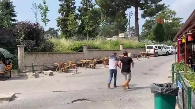 Acemi kasaplar hastanelik oldu