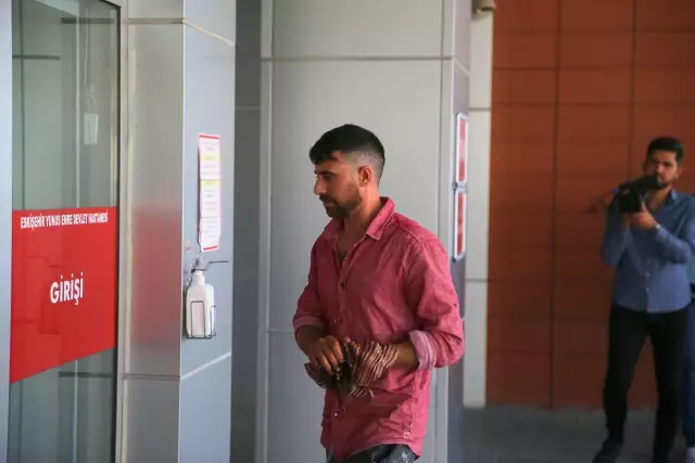 Bursa ve çevre illerde 'acemi kasaplar' hastanelik oldu