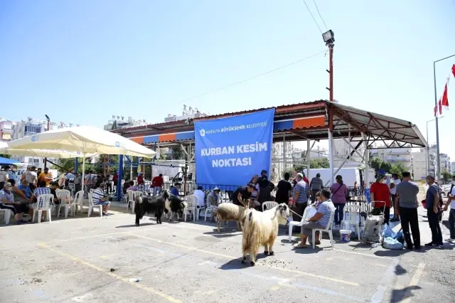 Büyükşehir 3 farklı noktada ücretsiz kurban kesim hizmeti verdi