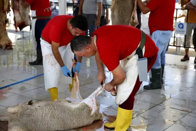 Büyükşehir 3 farklı noktada ücretsiz kurban kesim hizmeti verdi