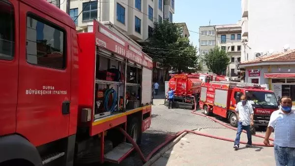 Son dakika haberi... YANGINDA MAHSUR KALAN KEDİLER İTFAİYE EKİPLERİNCE KURTARILDI