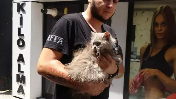 Son dakika haberi... YANGINDA MAHSUR KALAN KEDİLER İTFAİYE EKİPLERİNCE KURTARILDI