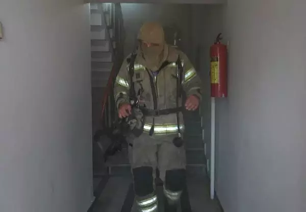 Son dakika haberi... YANGINDA MAHSUR KALAN KEDİLER İTFAİYE EKİPLERİNCE KURTARILDI