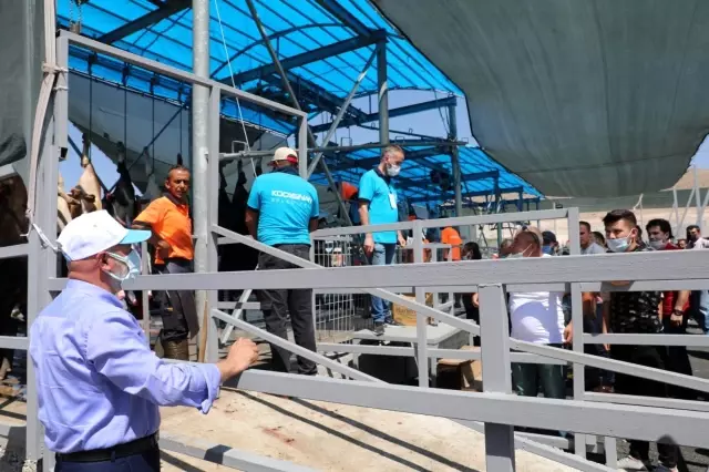 Çolakbayrakdar kurban kesim alanını ziyaret etti