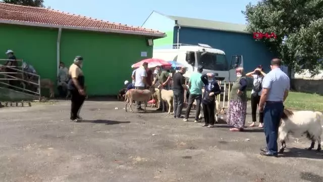 Salgın tedbiri için pazarda değil mezbahada kesime izin verildi