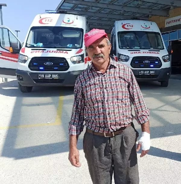 KURBAN KESERKEN ÇEŞİTLİ YERLERİNDEN YARALANANLAR, HASTANELİK OLDU