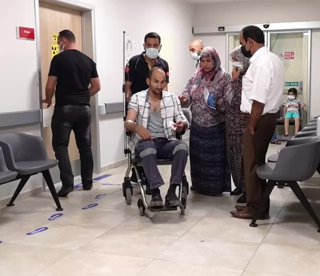 'Acemi kasaplar' hastanelik oldu 'Acemi kasaplar' hastanelik oldu