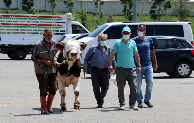 Hayvan pazarlarında bayramın ilk gününde de hareketlilik yaşanıyor