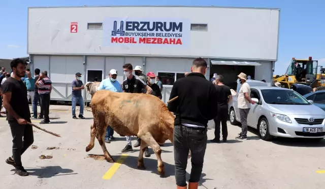 Hayvan pazarlarında bayramın ilk gününde de hareketlilik yaşanıyor