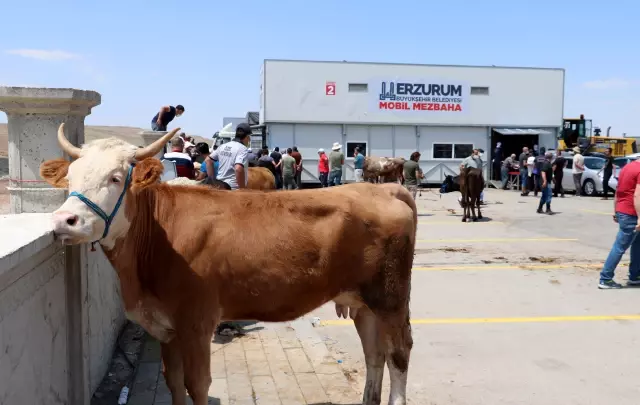 Hayvan pazarlarında bayramın ilk gününde de hareketlilik yaşanıyor