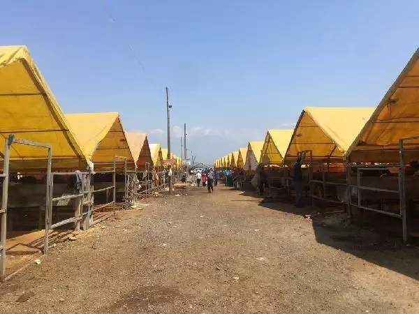 Döğücü'den bayramda vatandaşa kavurma ve pilav ikramı