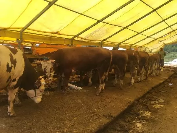 Döğücü'den bayramda vatandaşa kavurma ve pilav ikramı