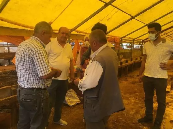 Döğücü'den bayramda vatandaşa kavurma ve pilav ikramı
