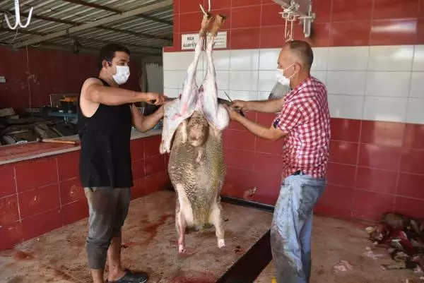 EDİRNE'DE 18 AYRI NOKTADA KURBAN KESİMİ YAPILDI EDİRNE'DE 18 AYRI NOKTADA KURBAN KESİMİ YAPILDI