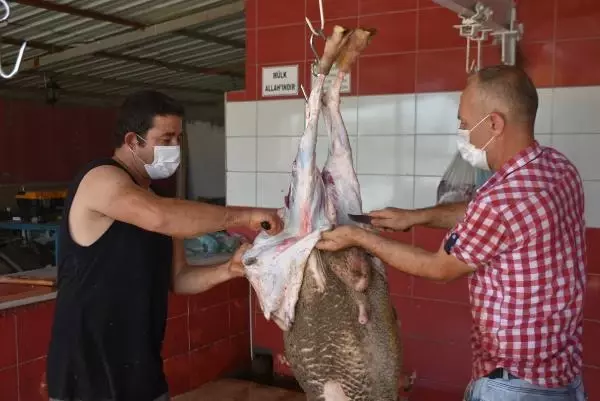 EDİRNE'DE 18 AYRI NOKTADA KURBAN KESİMİ YAPILDI