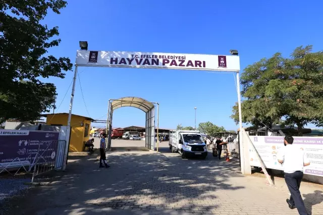 Efeler Belediyesi sağlıklı bir bayram için seferber oldu