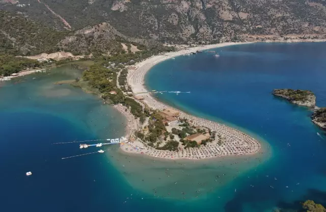 El değmemiş koyların 'milyon dolarlık' misafirleri denizlere renk kattı El değmemiş koyların 'milyon dolarlık' misafirleri denizlere renk kattı
