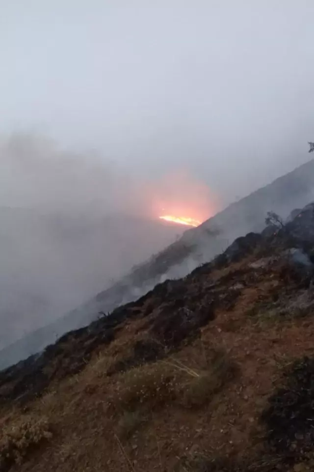 Elazığ'da çıkan örtü yangını kontrol altına alındı