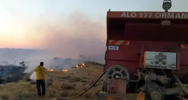 Elazığ'daki örtü yangını rüzgarın etkisiyle yeniden alevlendi