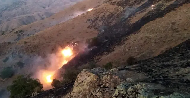 Elazığ'daki örtü yangını rüzgarın etkisiyle yeniden alevlendi
